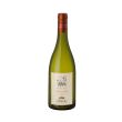 Orzalume Grechetto Sauvignon IGT Castello di Corbara 75 cl