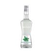 Liquore Menta Bianca Monin 70 cl