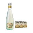 Ginger Beer San Pellegrino in vetro da Cl.20×24