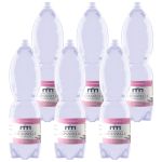 Acqua Capannelle Naturale Liscia 1,5 lt x 6 plastica