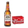 Birra Budweiser 33 cl x 24 bottiglie