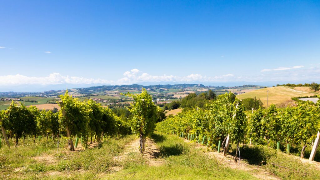 territorio piemontese