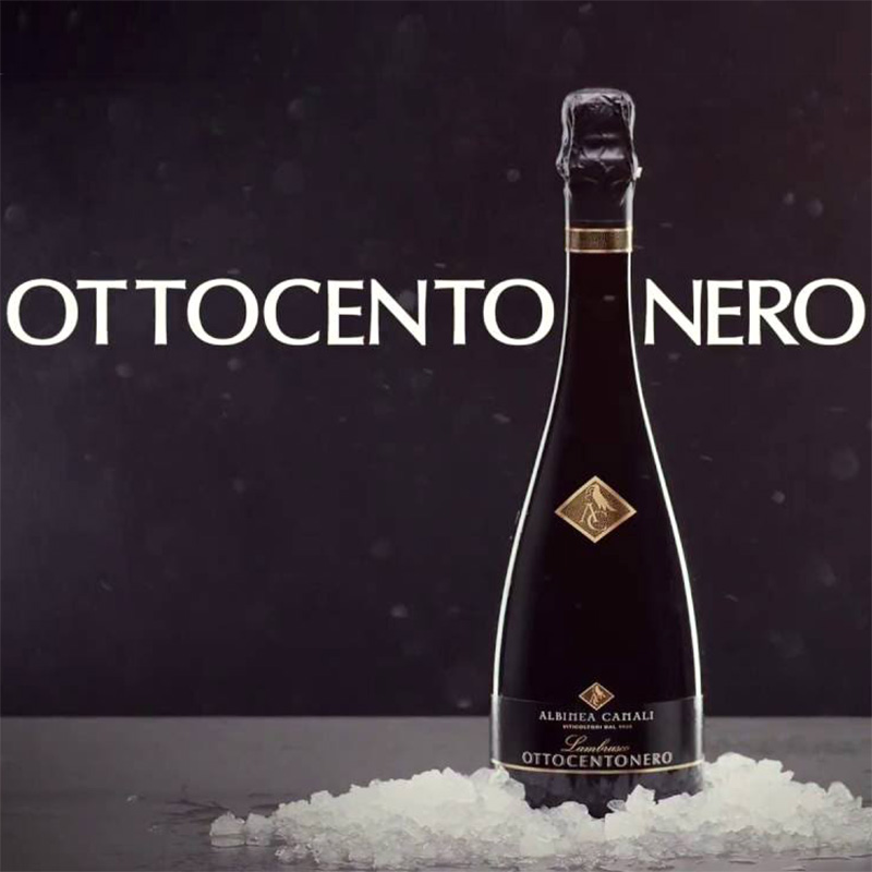Recensione del Lambrusco Ottocento Nero IGT Albinea Canali un vino rosso frizzante come un