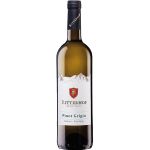 Pinot Grigio DOC Ritterhof – Alto Adige 75 cl